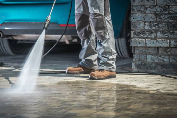 Best Boat and Dock Cleaning  in Winona, MN
