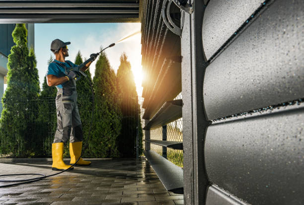 Best Roof Washing  in Winona, MN