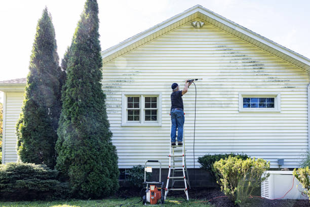 Best Graffiti Removal  in Winona, MN